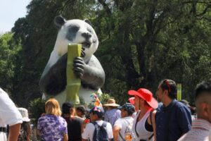 Inicio 6 64349dd0944d2055257294 WERq3d cascadas natura